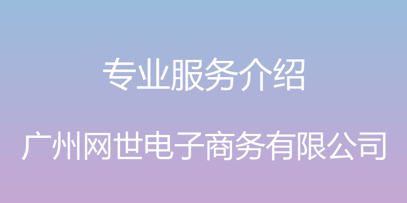 专业服务介绍 - 广州网世电子商务有限公司