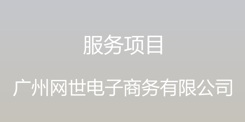 服务项目 - 广州网世电子商务有限公司