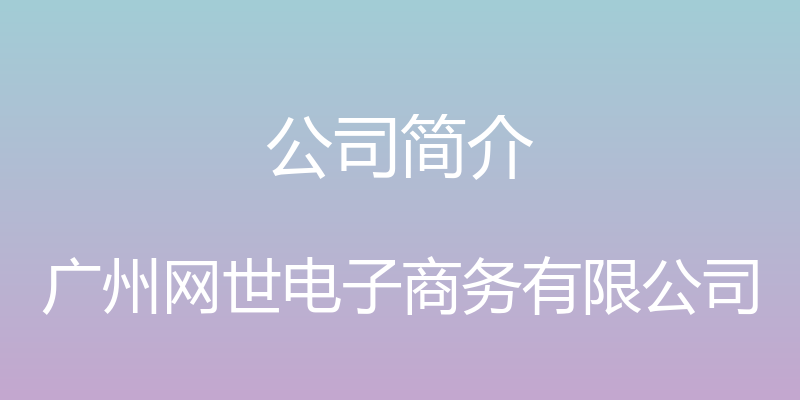 公司简介 - 广州网世电子商务有限公司