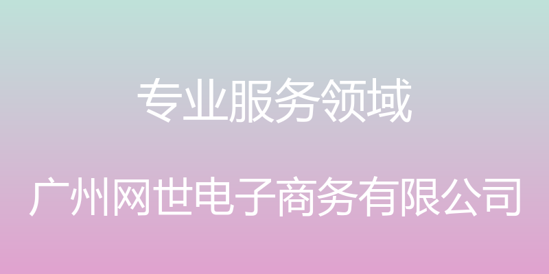 专业服务领域 - 广州网世电子商务有限公司